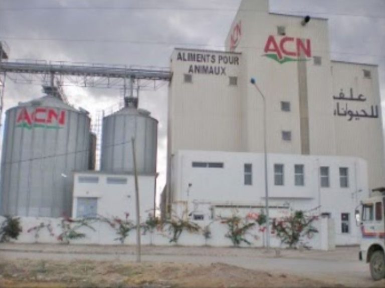 Notre Histoire Rose Blanche Group