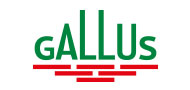 Gallus